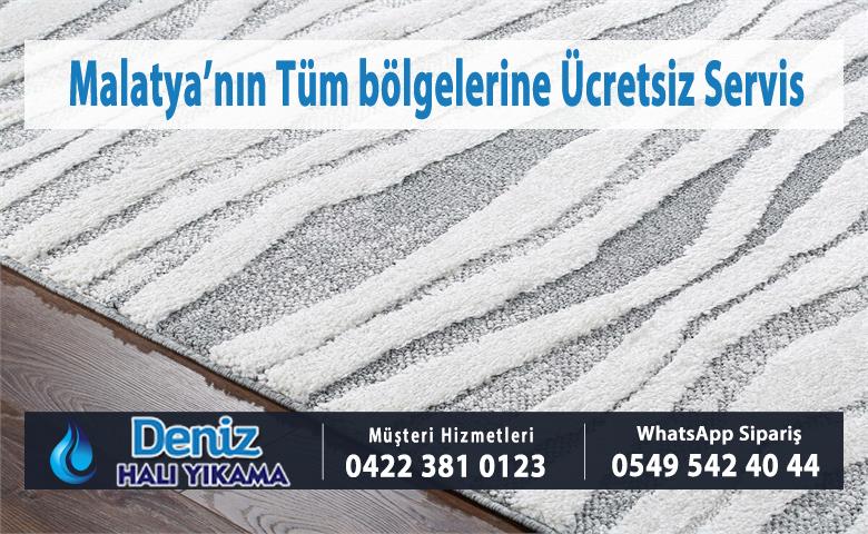 Hasan Varol Mahallesi Halı Yıkama