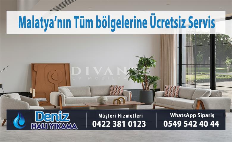 İlyas Mahallesi Koltuk Yıkama
