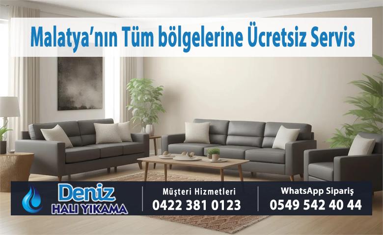 Hanımınçiftliği Mahallesi Halı Yıkama
